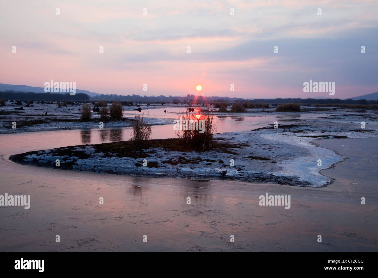 Sonnenuntergang im Winter bei der Gearagh in der Nähe von Macroom; County Cork Irland Stockfoto