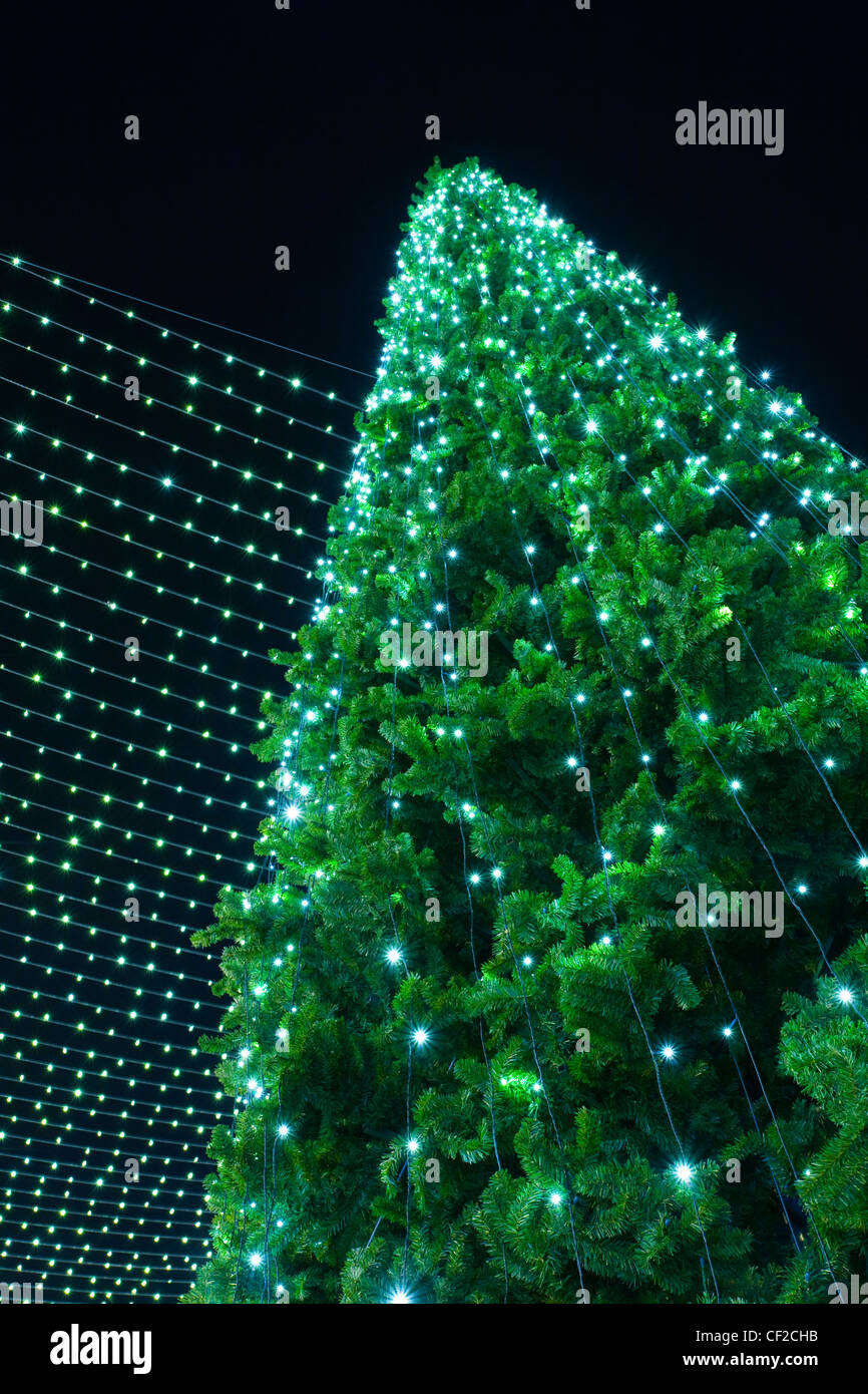 Weihnachtsbaum auf dem Marktplatz von Durham City. Stockfoto