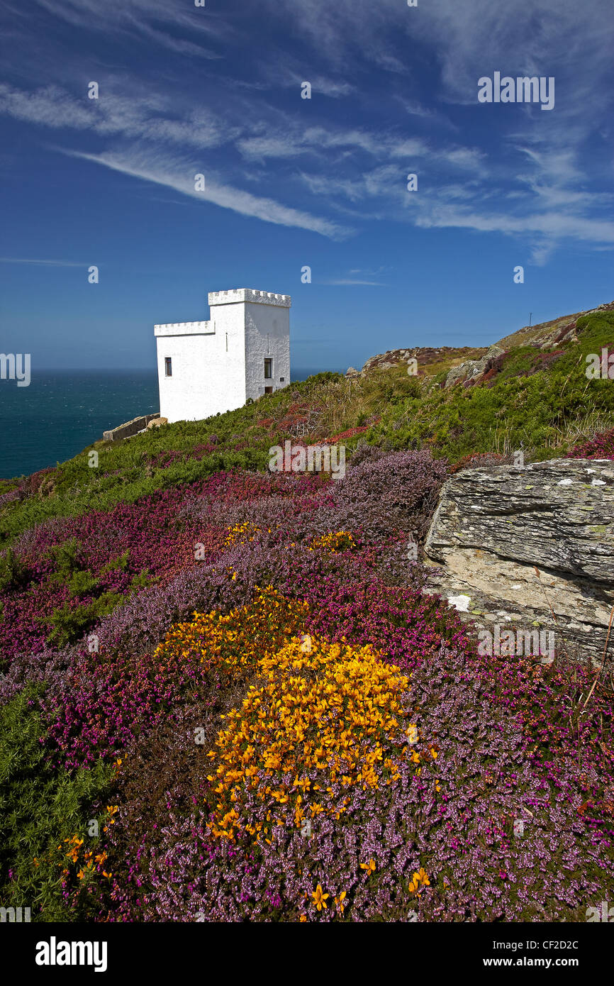 Ellin Turm am South Stack Klippen, umgeben die RSPB Besucherzentrum für die Beobachtung Zucht Seevogelkolonien, Ginster und er Stockfoto