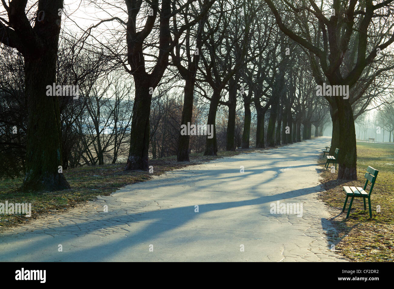 Allee im Park mit Bänken, Sonnenschein Wetter Stockfoto