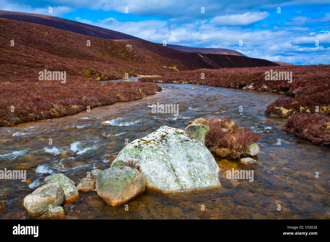 Fluss, der durch das Heidekraut bekleideten Hügeln von Gleann Eanaich in den Cairngorms National Park. Stockfoto