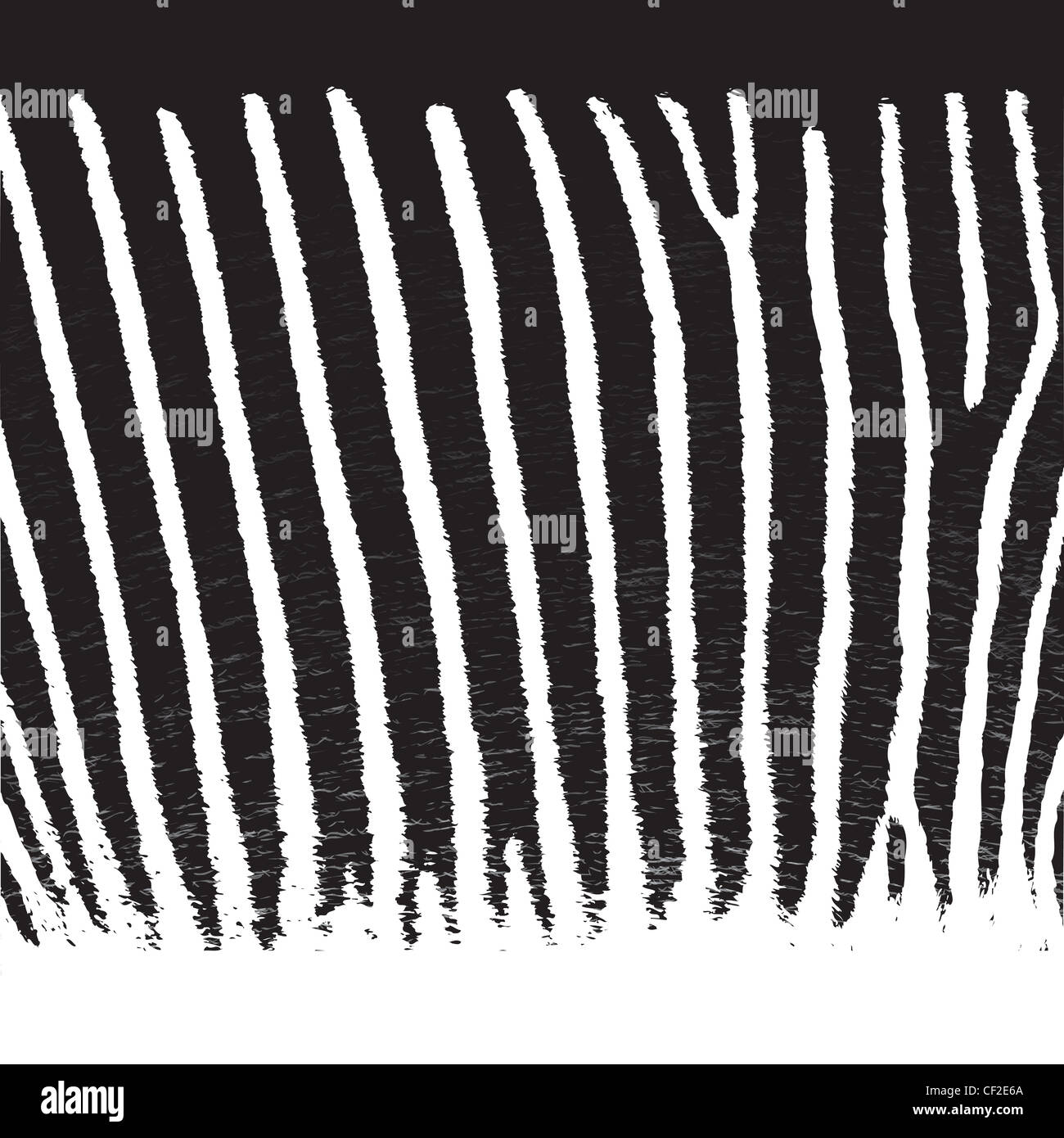 Muster-Zebra Fell Hintergrund, Stockfoto