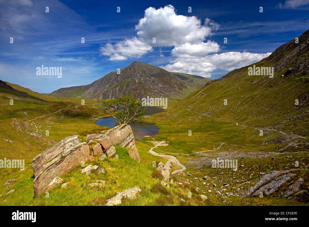 Blick auf Stift Yr Ole Wen, der siebthöchste Berg in Snowdonia und in Wales, aus einem Pfad über Llyn Idwal in Snowdonia. Stockfoto
