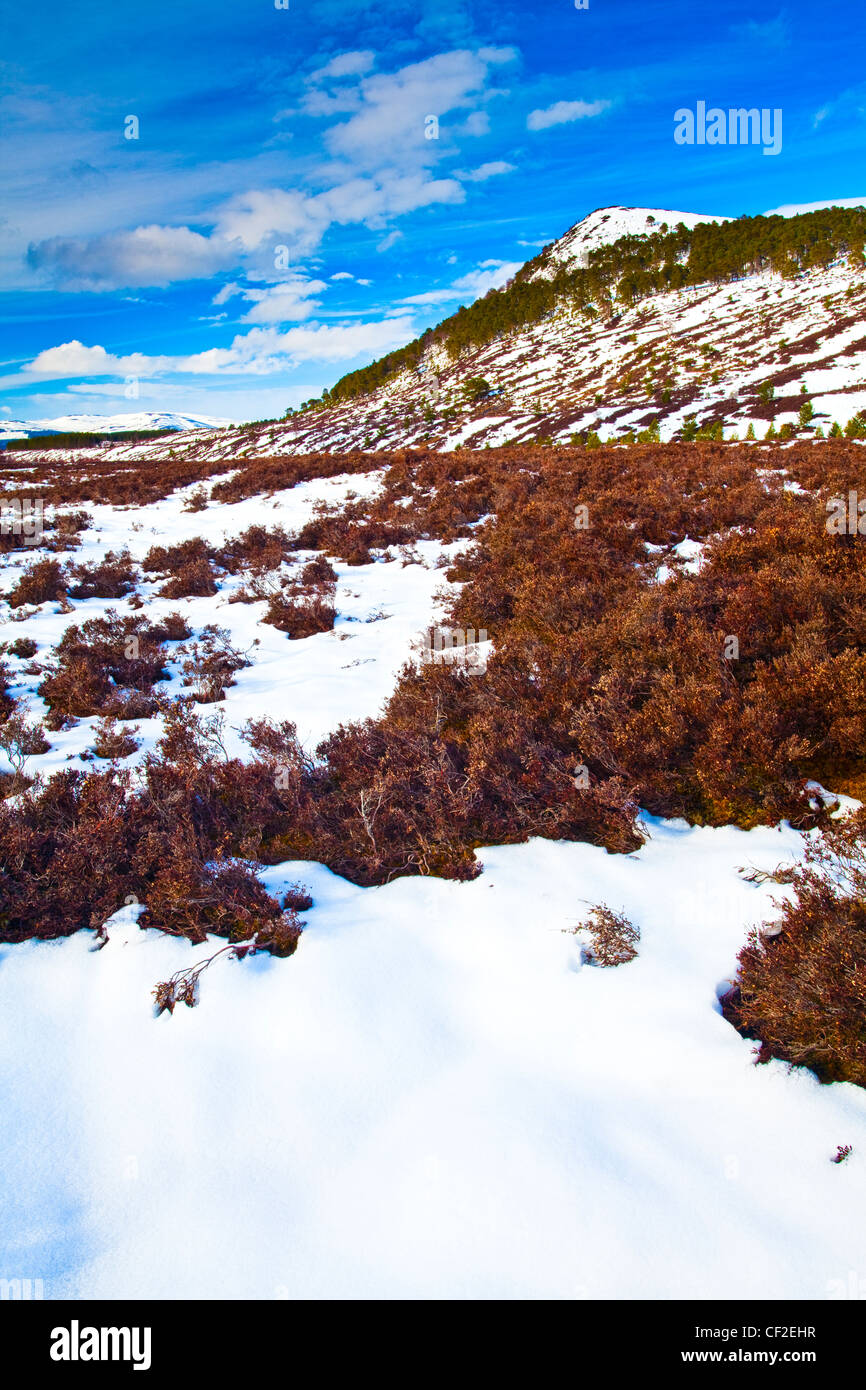 Schneebedeckte Hügel in der entfernten Glen Feshie, in den Cairngorms National Park. Stockfoto
