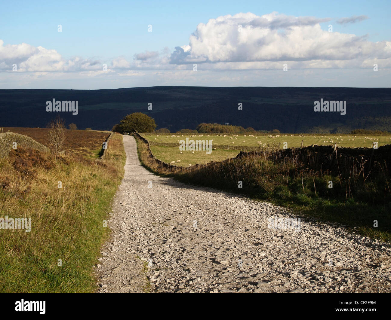 Track, Sir William Hill, Peak District Stockfoto