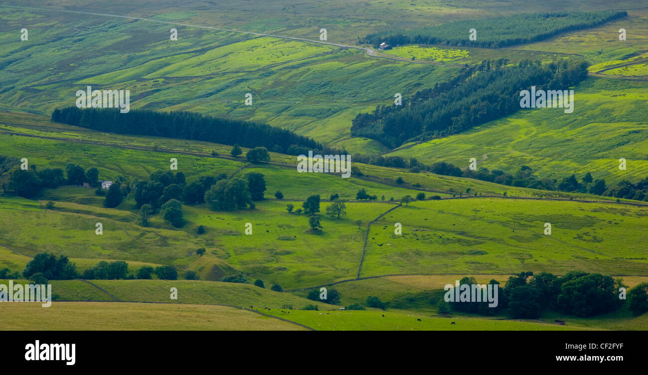 Westen Allen Dale, Teil der die North Pennines Bereich von herausragenden natürlichen Schönheit (AONB). Stockfoto