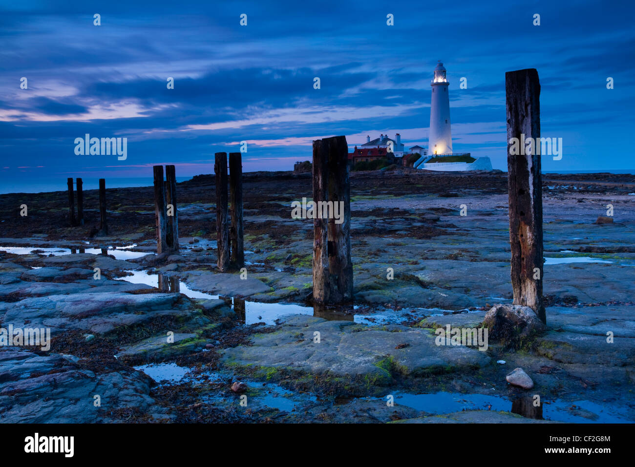 St. Mary's Island und Leuchtturm, ein beliebtes Ausflugsziel in der Nähe von Whitley Bay. Stockfoto