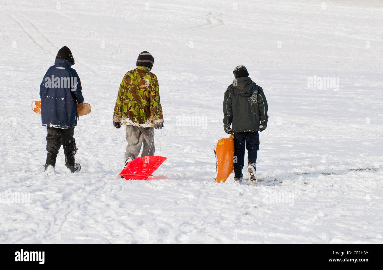 Drei junge Burschen, die zu Fuß über einen Schnee bedeckt Feld mit ihren Schlitten. Stockfoto