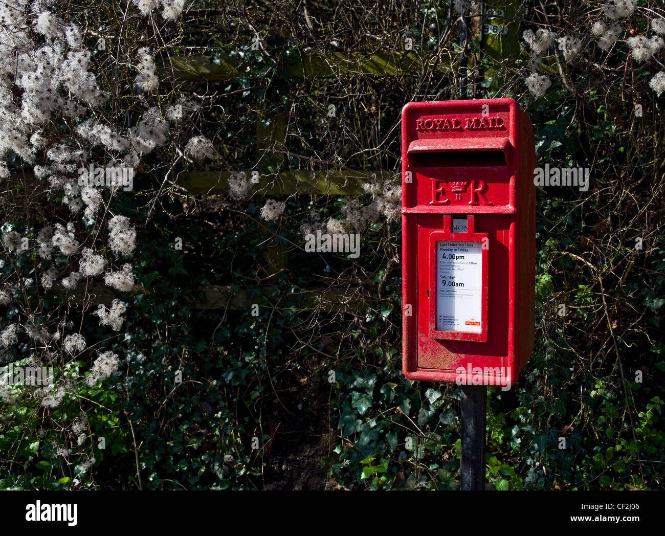 Ein Royal Mail-Briefkasten in Upnor Dorf, Medway. Stockfoto