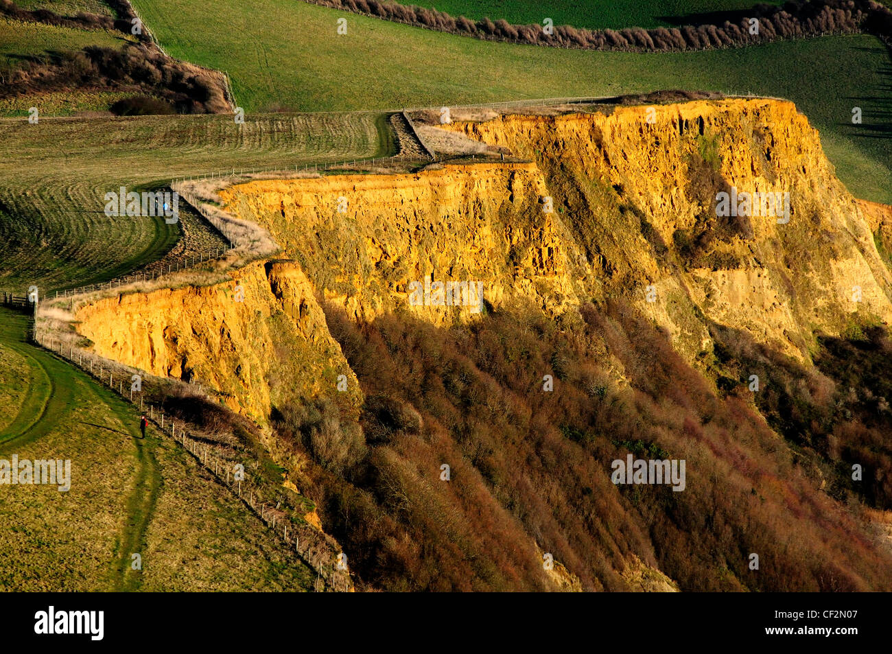 Klippe an Jurassic Küste zwischen Charmouth und einladendsten, Dorset, UK Januar 2009 Stockfoto