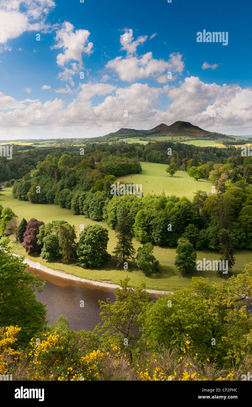 Scotts View, ein Aussichtspunkt mit Blick auf das Tal des Flusses Tweed, Scottish Borders den Ruf, einer der Lieblings- Stockfoto