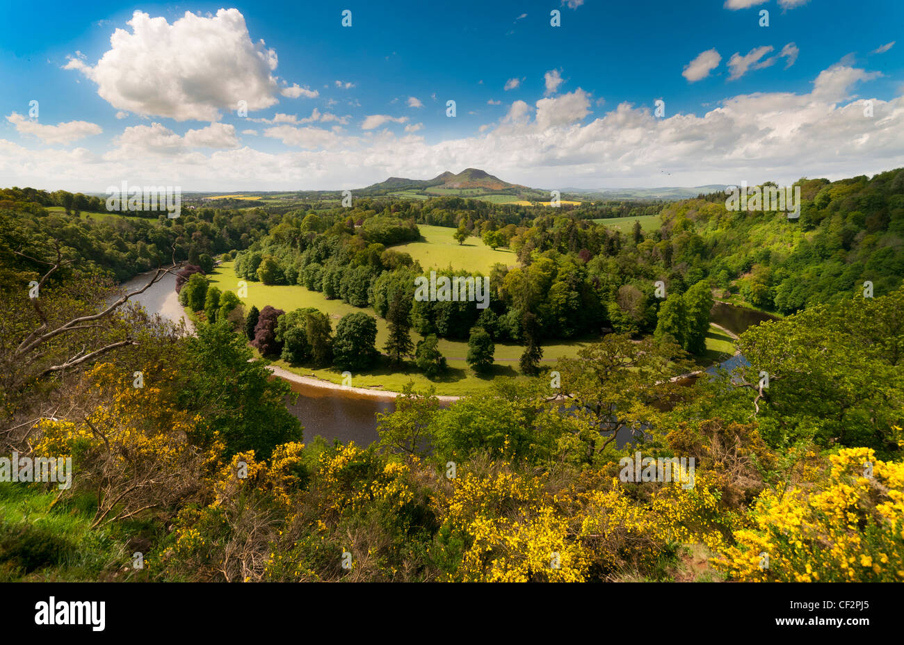 Scotts View, ein Aussichtspunkt mit Blick auf das Tal des Flusses Tweed, Scottish Borders den Ruf, einer der Lieblings- Stockfoto