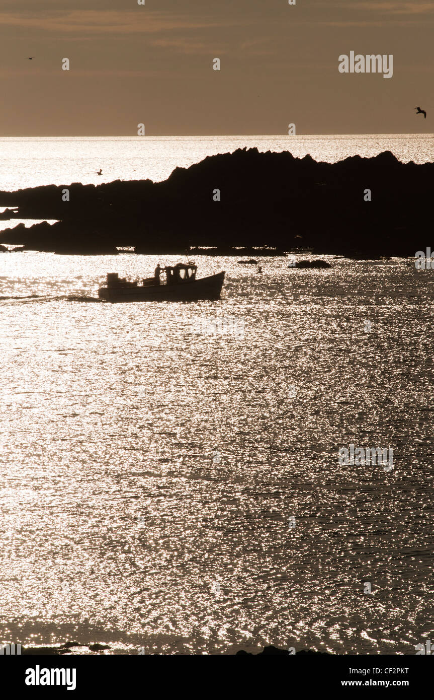 Ein kleines Fischerboot, nähert sich die Einfahrt zum Fischereihafen an der Berwickshire Küsten Stadt von Eyemouth. Stockfoto