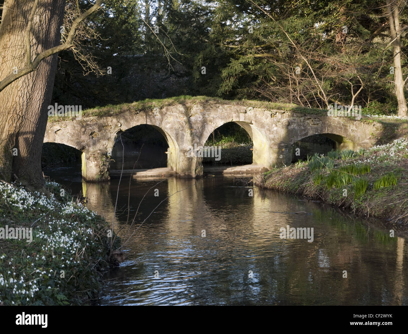 Alte Packung Pferd Brücke und Schneeglöckchen, Walsingham Abtei, Walsingham, Norfolk, England Stockfoto