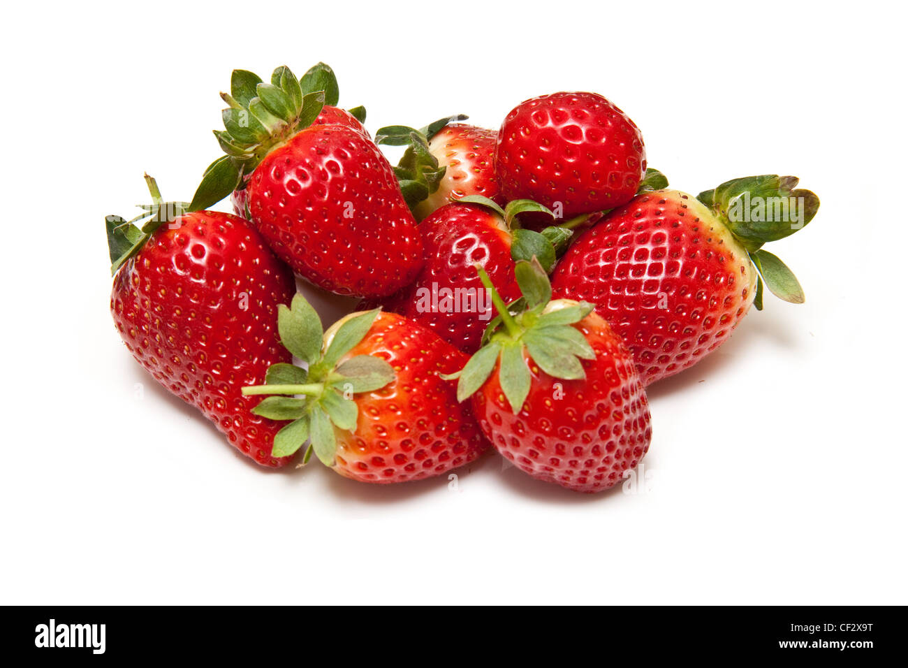 Erdbeeren auf einem weißen Studio-Hintergrund isoliert. Stockfoto