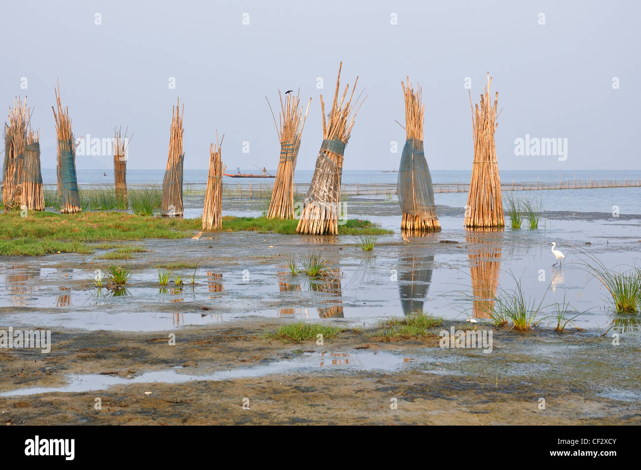 Chilika See Stockfoto