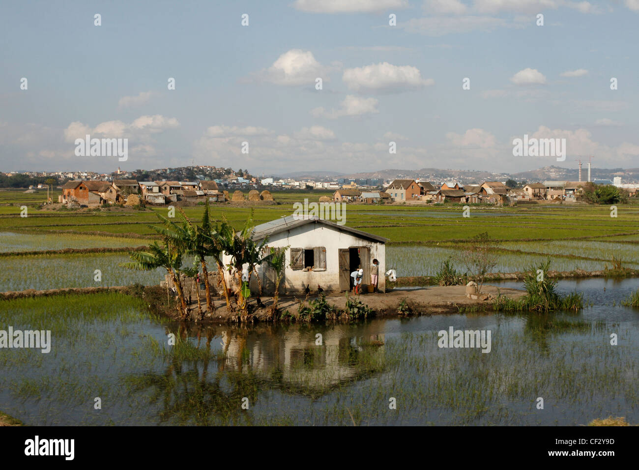 Reisfelder und Landwirtschaft am Stadtrand von Antananarivo. Madagaskar. Stockfoto