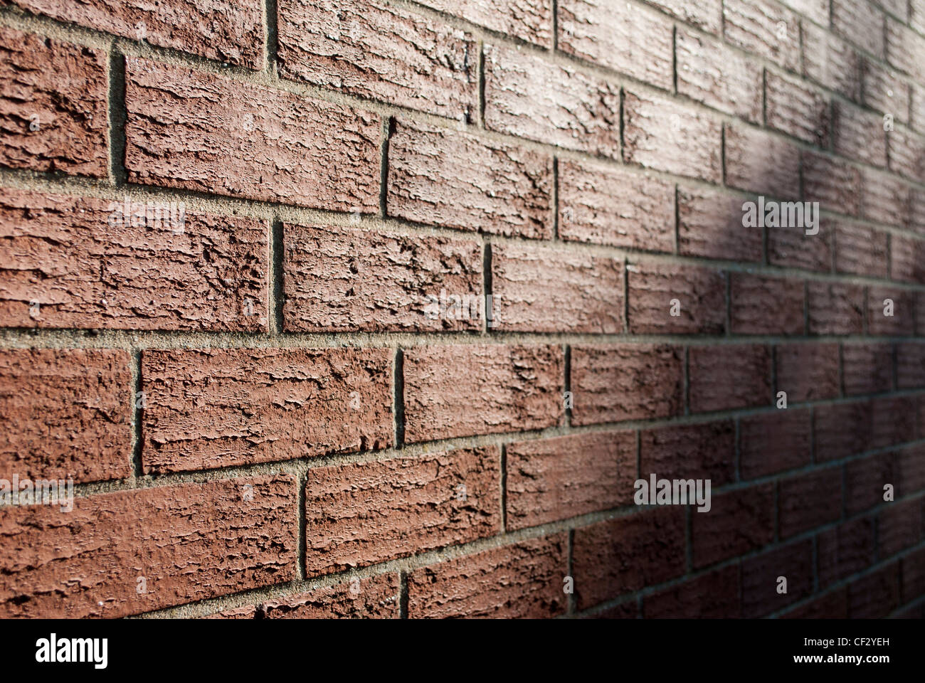 Sonnenbeschienenen Wand in spitzen Winkel mit Schatten der Zweige Stockfoto