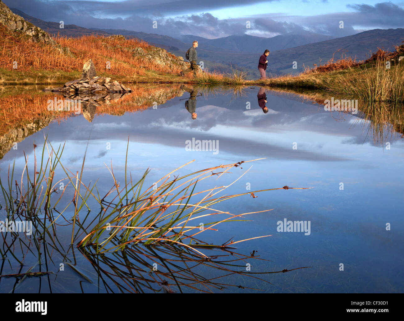 Wanderer, die Weitergabe Teich in der Nähe von Lily Tarn Loughrigg fiel im Lake District Stockfoto