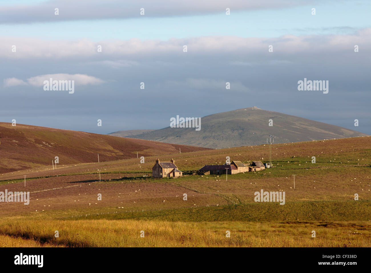 Landwirtschaftliche Gebäude auf einem Croft in der Cabrach. Stockfoto