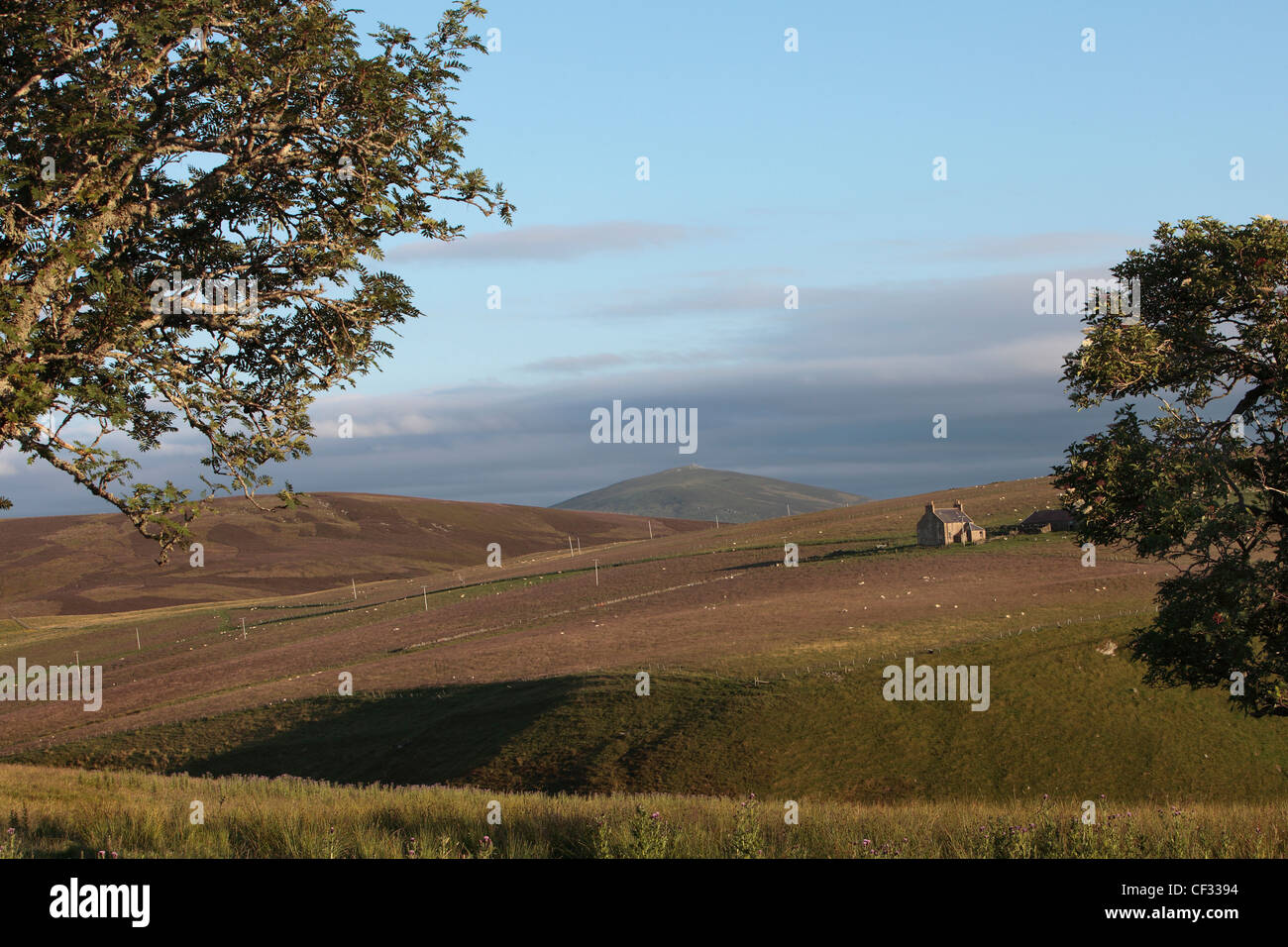 Landwirtschaftliche Gebäude auf einem Croft in der Cabrach. Stockfoto