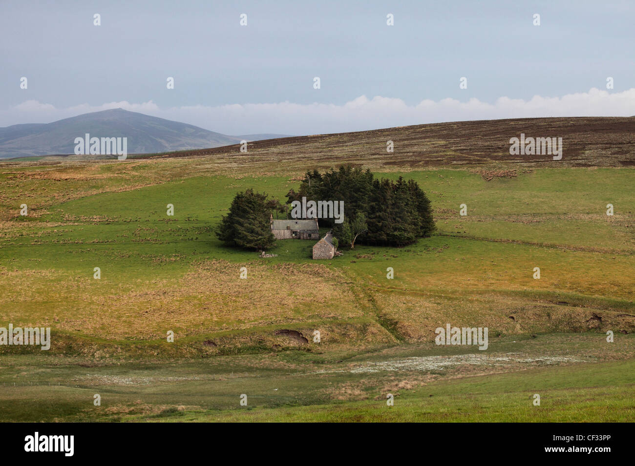 Verfallene Stein Wirtschaftsgebäude, nur einige der vielen verlassenen Ruinen auf ehemaligen Crofts im Bereich Cabrach und Glenlivet Scotl Stockfoto