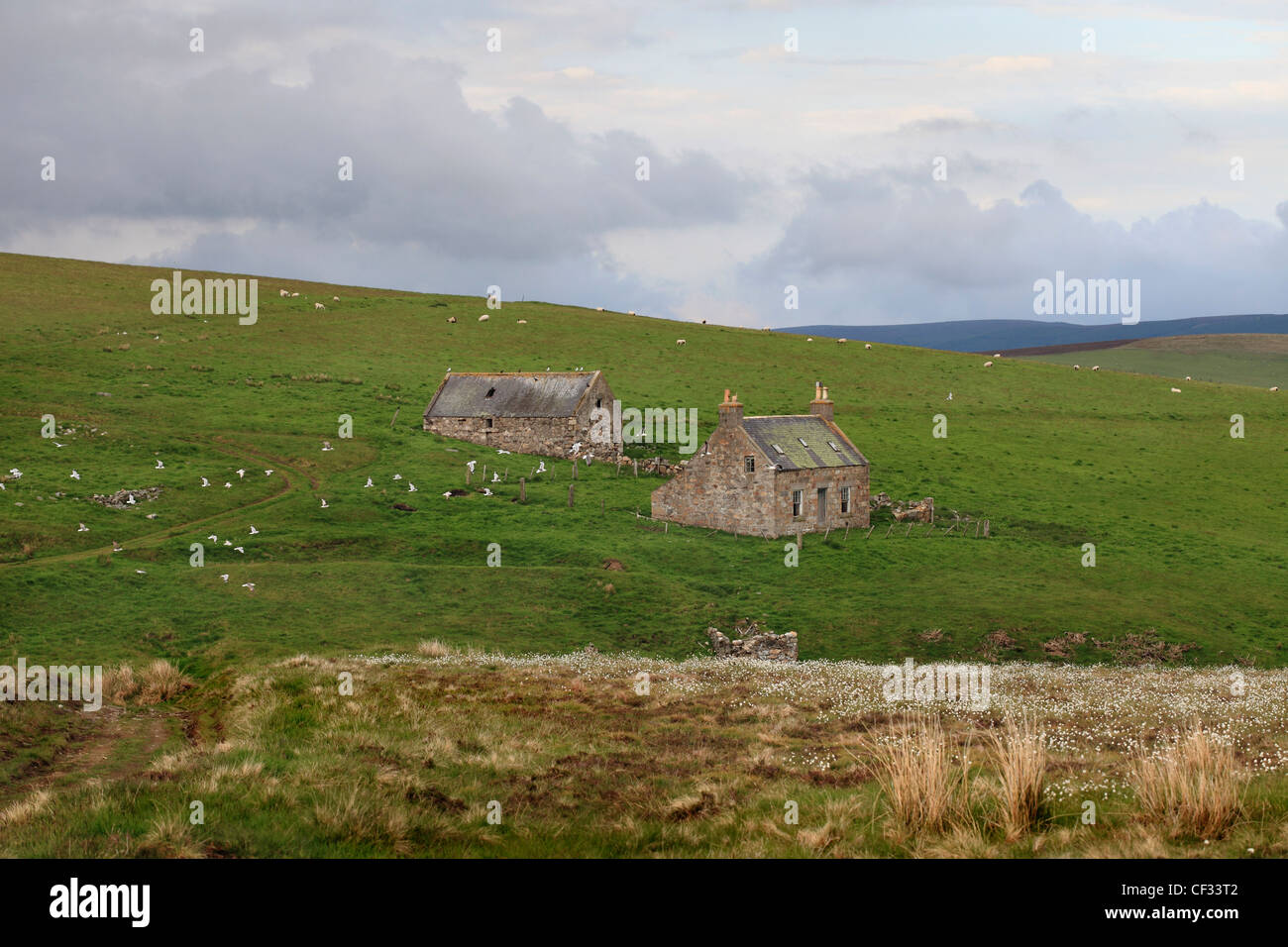 Verfallene Stein Wirtschaftsgebäude, nur einige der vielen verlassenen Ruinen auf ehemaligen Crofts im Bereich Cabrach und Glenlivet Scotl Stockfoto