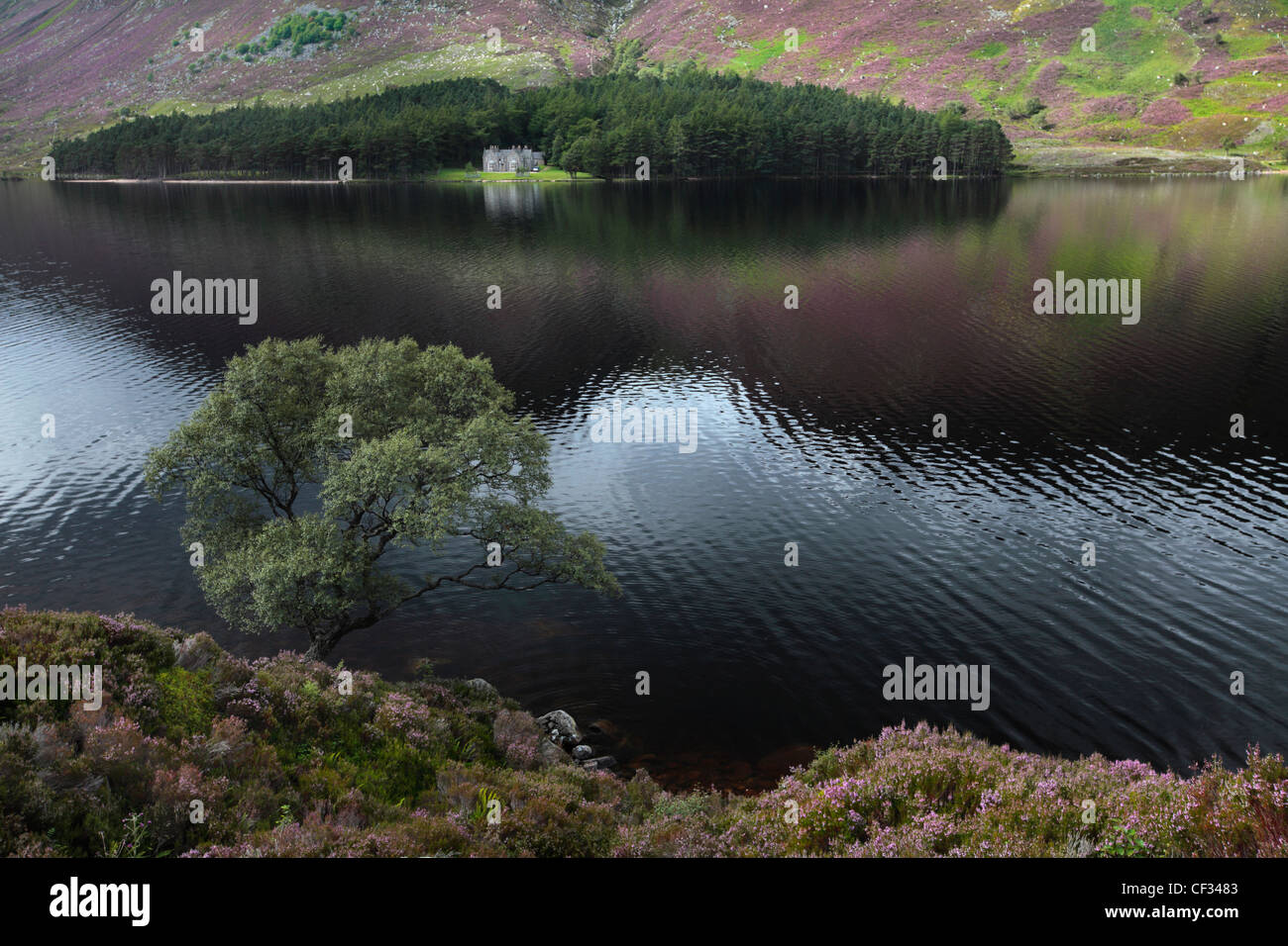 Glas-Allt Shiel, ein Haus am Ufer des Loch Muick im Cairngorms National Park. Stockfoto
