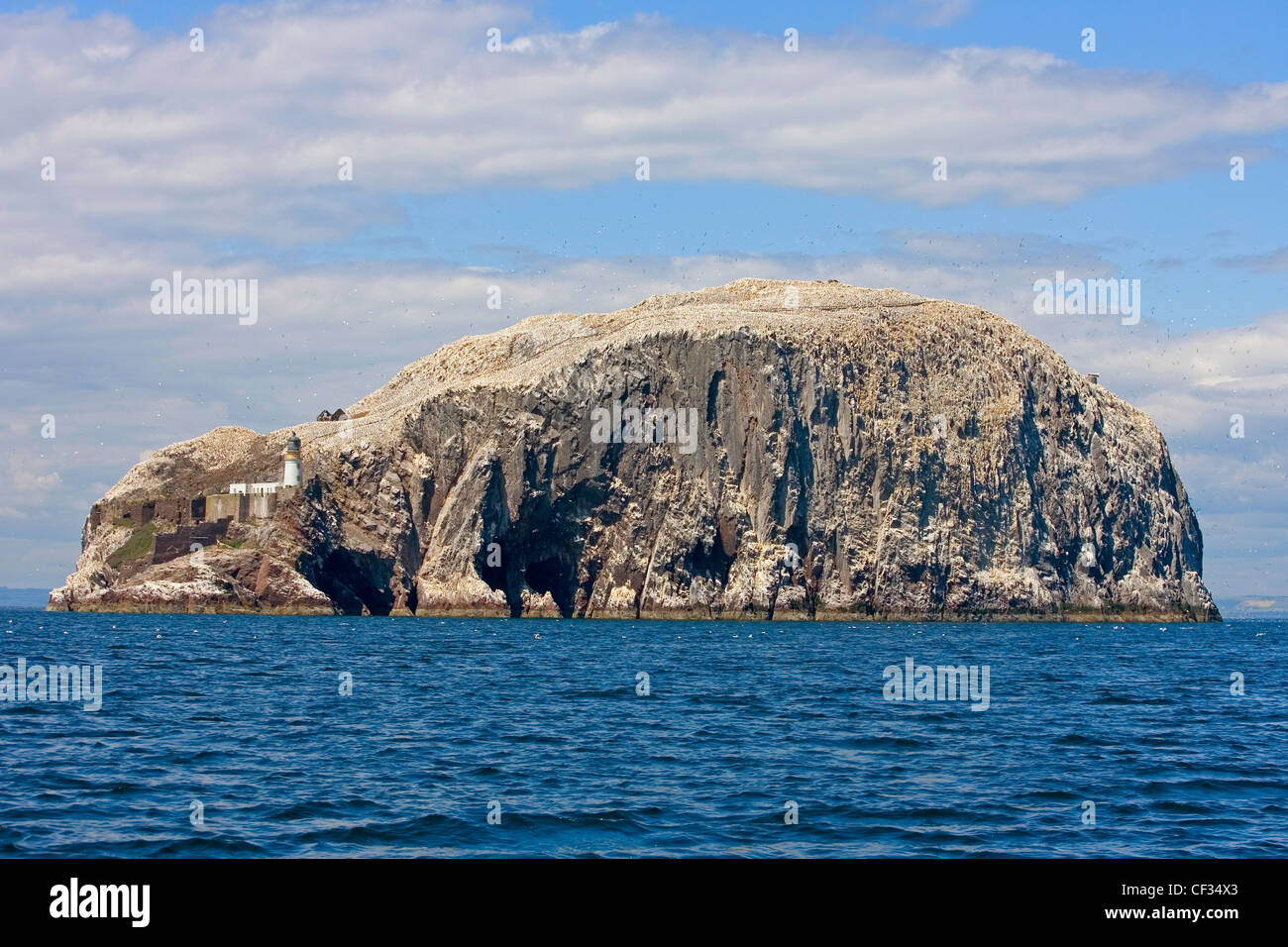 Der Bass Rock (The Bass), ein Vulkangestein in den Firth of Forth, die Heimat einer großen Kolonie der Basstölpel. Stockfoto