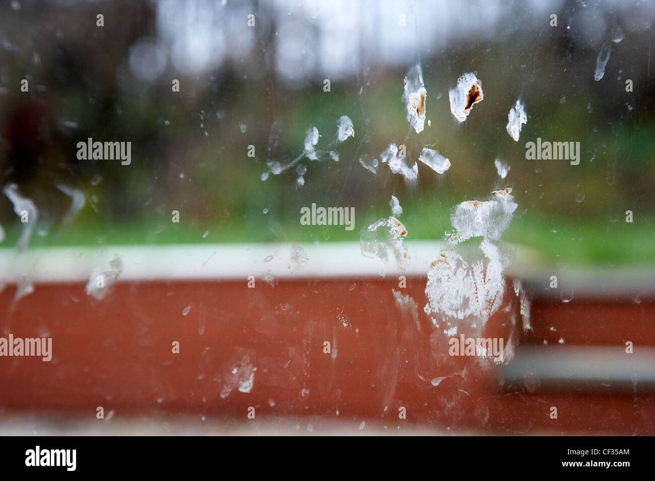 Kinder Handabdruck in Schokolade auf schmutzigen Haus Fenster mit Blick zum Garten Stockfoto