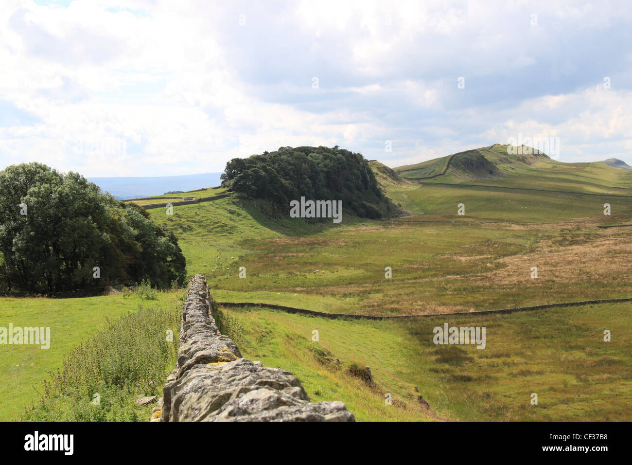 Der Hadrianswall bei Housesteads Klippen nach Westen, Northumberland, England, Großbritannien, Deutschland, UK, Europa Stockfoto