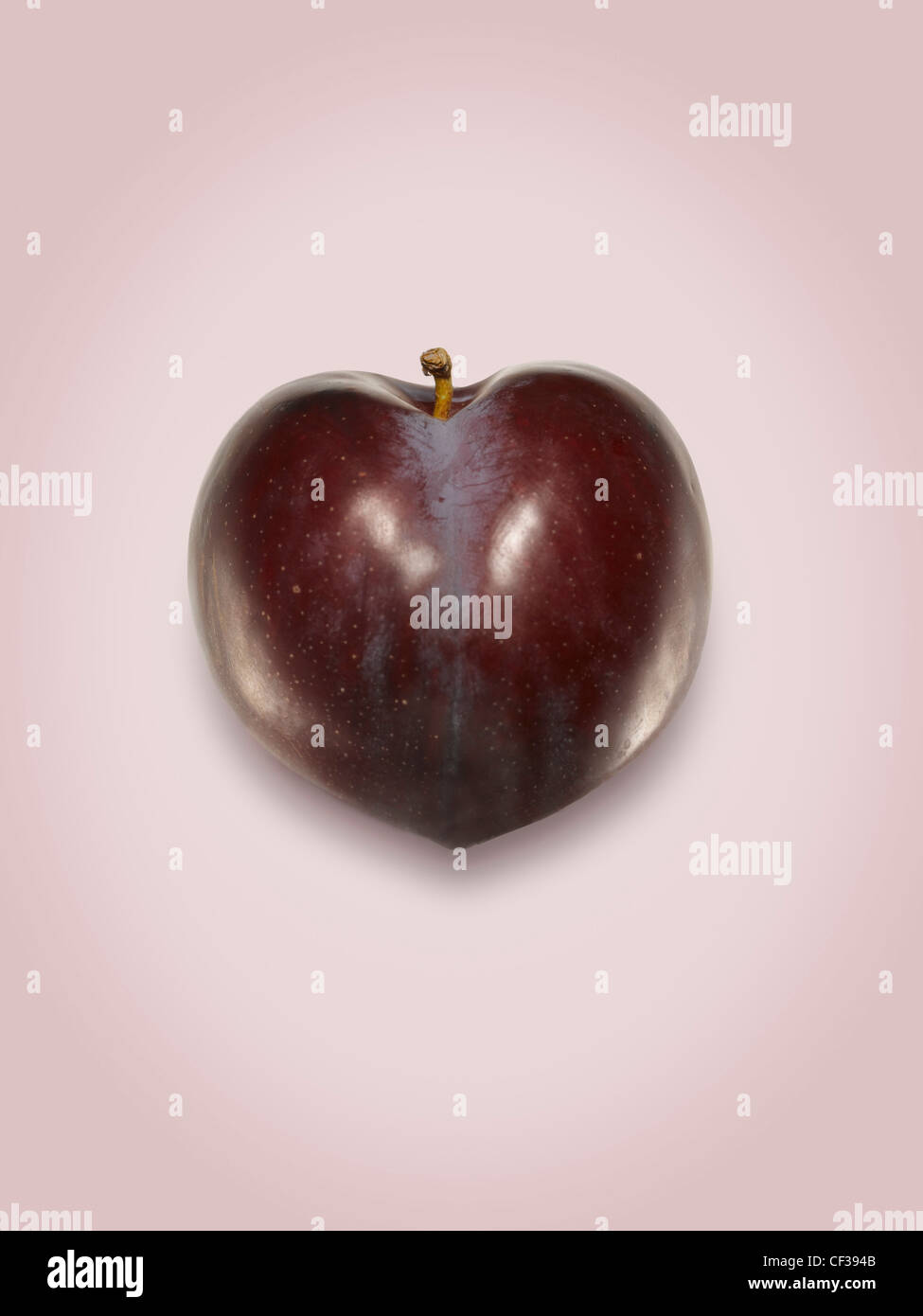 Eine Pflaume auf einem staubigen rosa Hintergrund Stockfoto