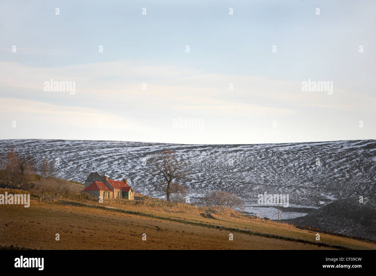 Ein Blick in Richtung einer abgelegenen Croft in Glenbuchat. Stockfoto