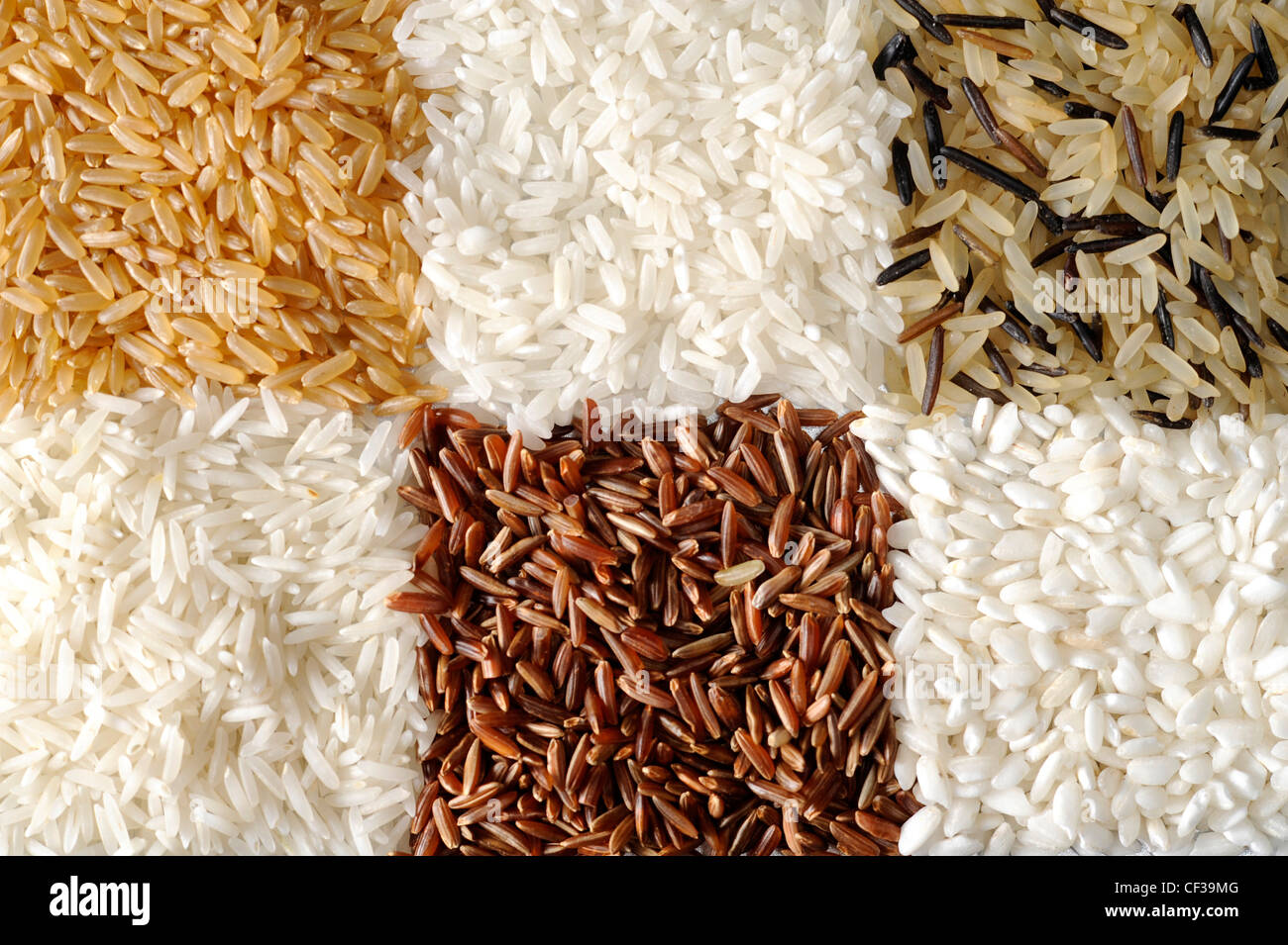 Sechs kleine Quadrate aus verschiedenen Sorten von oben links, brauner Reis, lange Kornreis, Langkorn und Wildreis, Arborio Reis Stockfoto