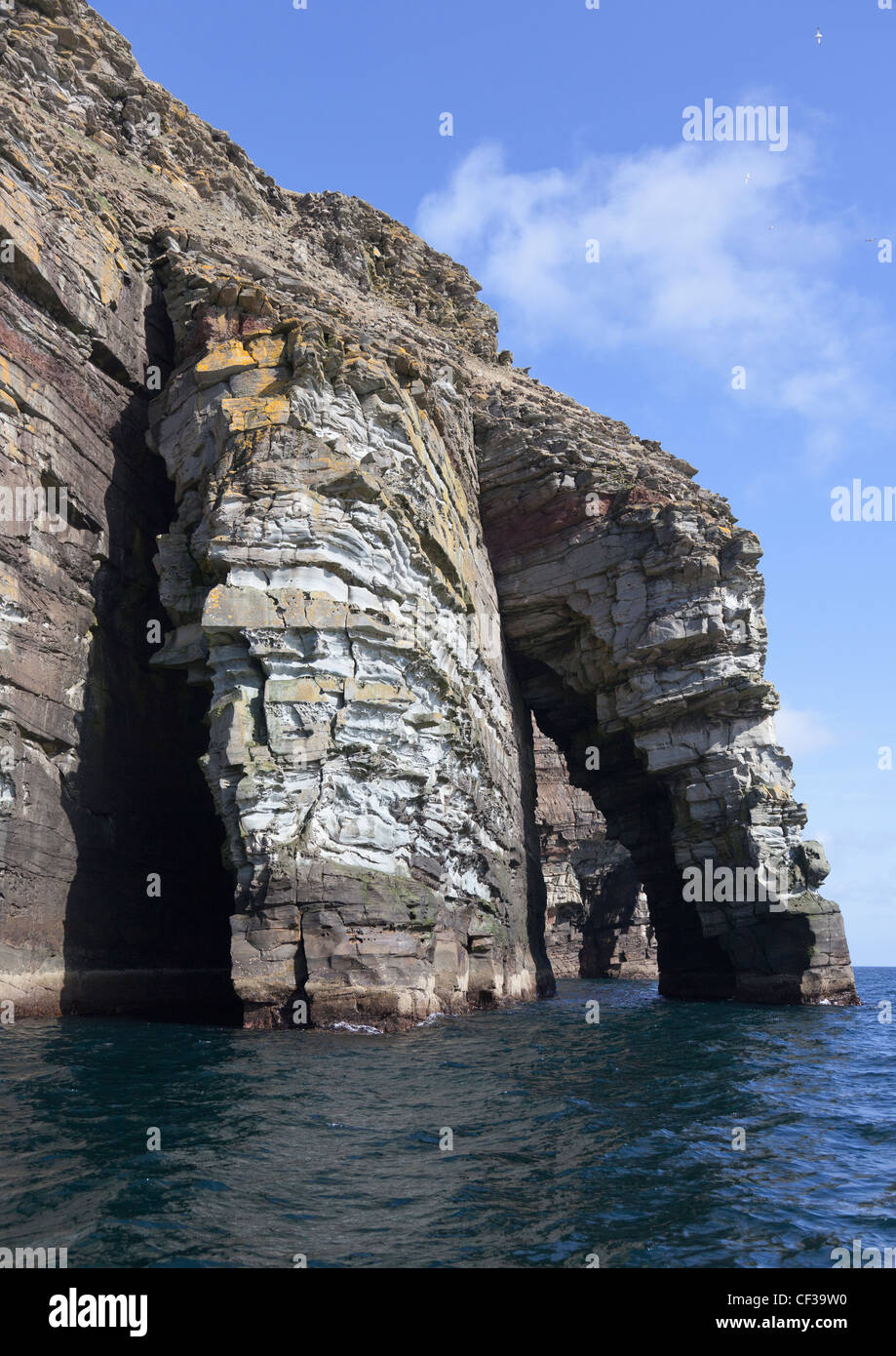 Einzigartige Felsformation entlang der Küste; Noss Schottland Stockfoto