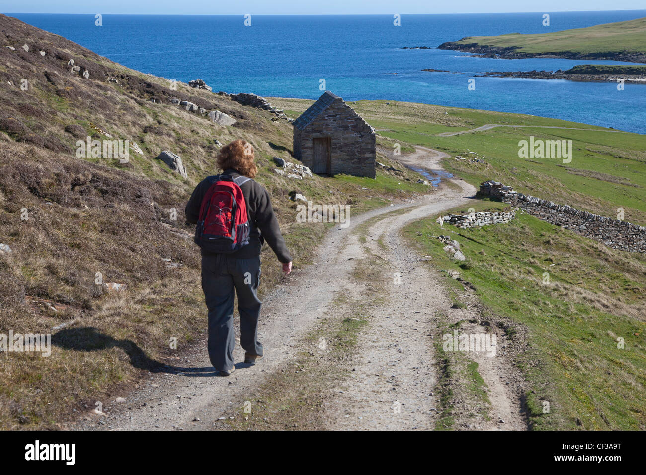 Eine Frau zu Fuß auf einem Feldweg entlang der Küste auf dem Weg nach Noss; Bressay Schottland Stockfoto