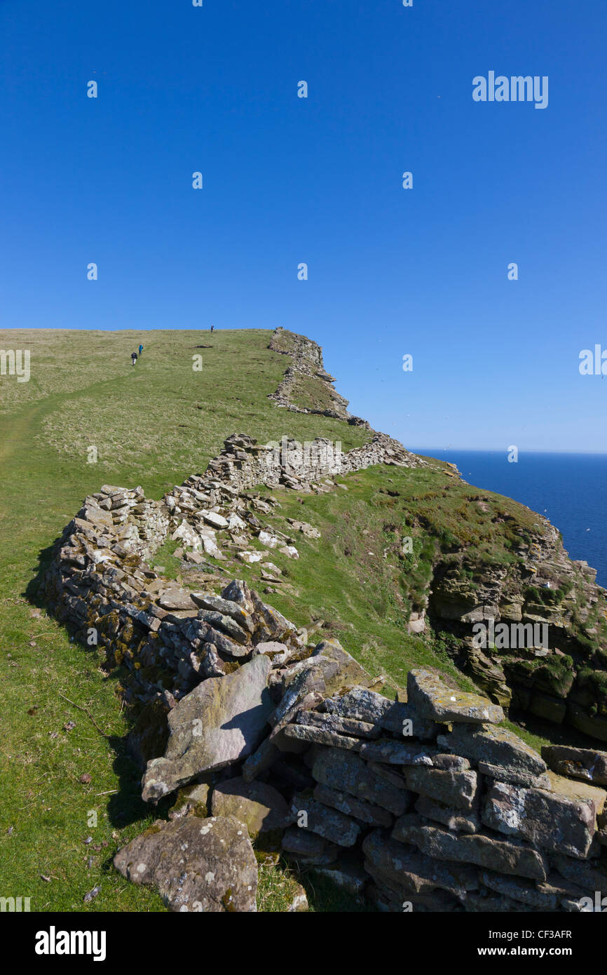 Eine Steinmauer entlang der Küste; Noss Schottland Stockfoto