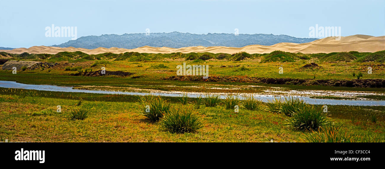 Khongoryn Els Sanddünen und Khongoryn Gol Flusses. Süd-Gobi Wüste. MongoliaG-Obi-Gurvansaikhan-Nationalpark Stockfoto