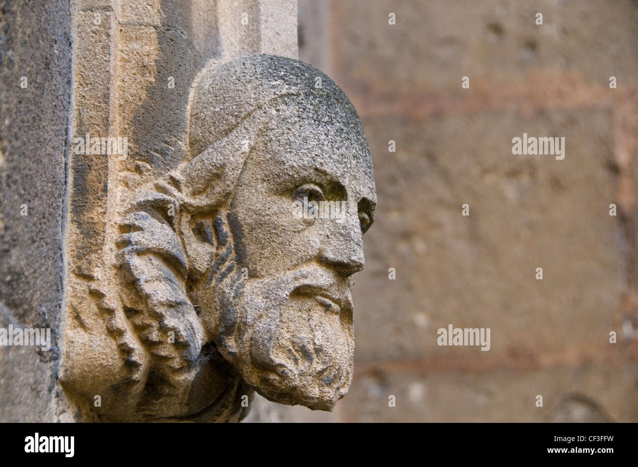 Steinbildhauen an den Wänden von der University of Oxford. Stockfoto