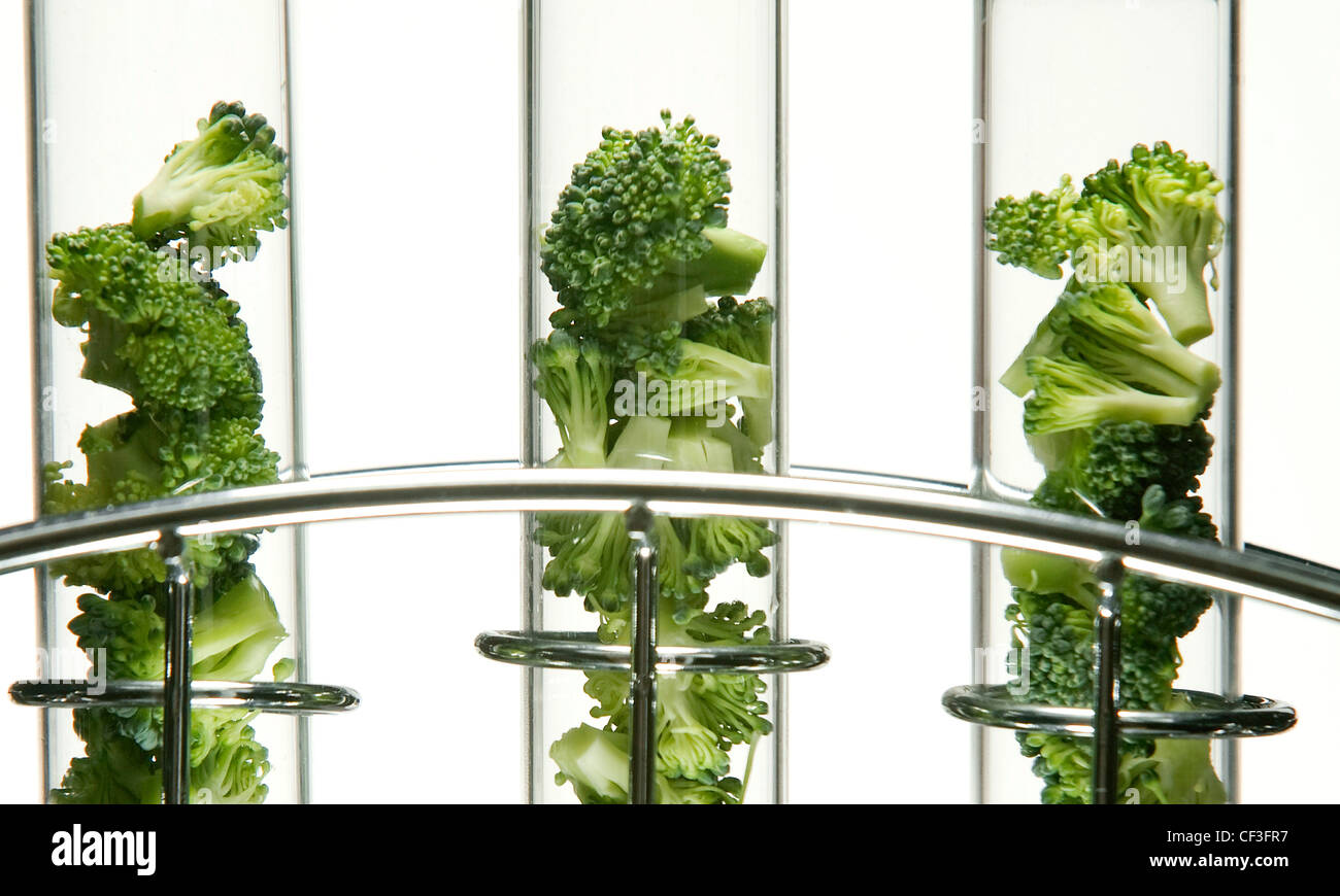 Brokkoli in kleine Röschen in Glasröhren Test in einem Chrom-Gestell geschnitten Stockfoto