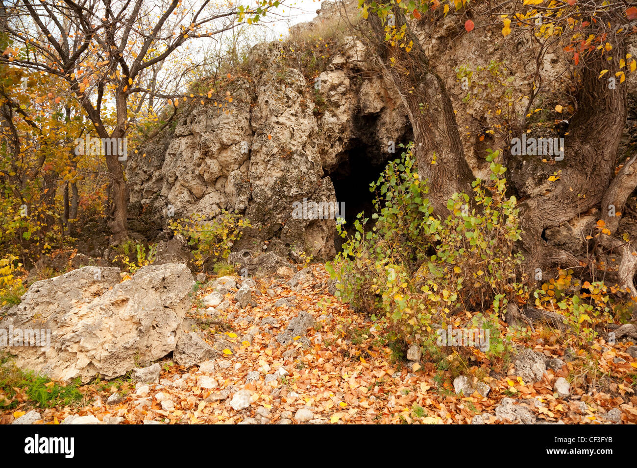 Eingabe in Höhle im herbstlichen park Stockfoto
