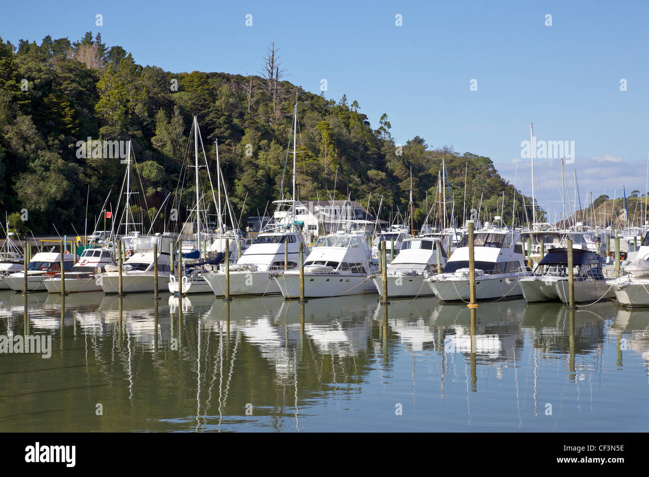 Tutukaka Marina auf Tutukaka Coast, Region Northland, Nordinsel, Neuseeland. Stockfoto