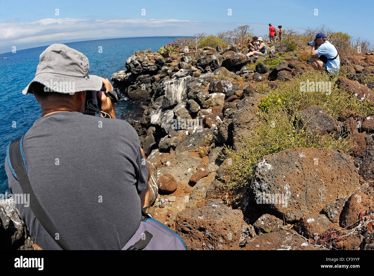 Touristen, die Dreharbeiten Vögel, North Seymour Island, Galapagos-Inseln, Ecuador Stockfoto