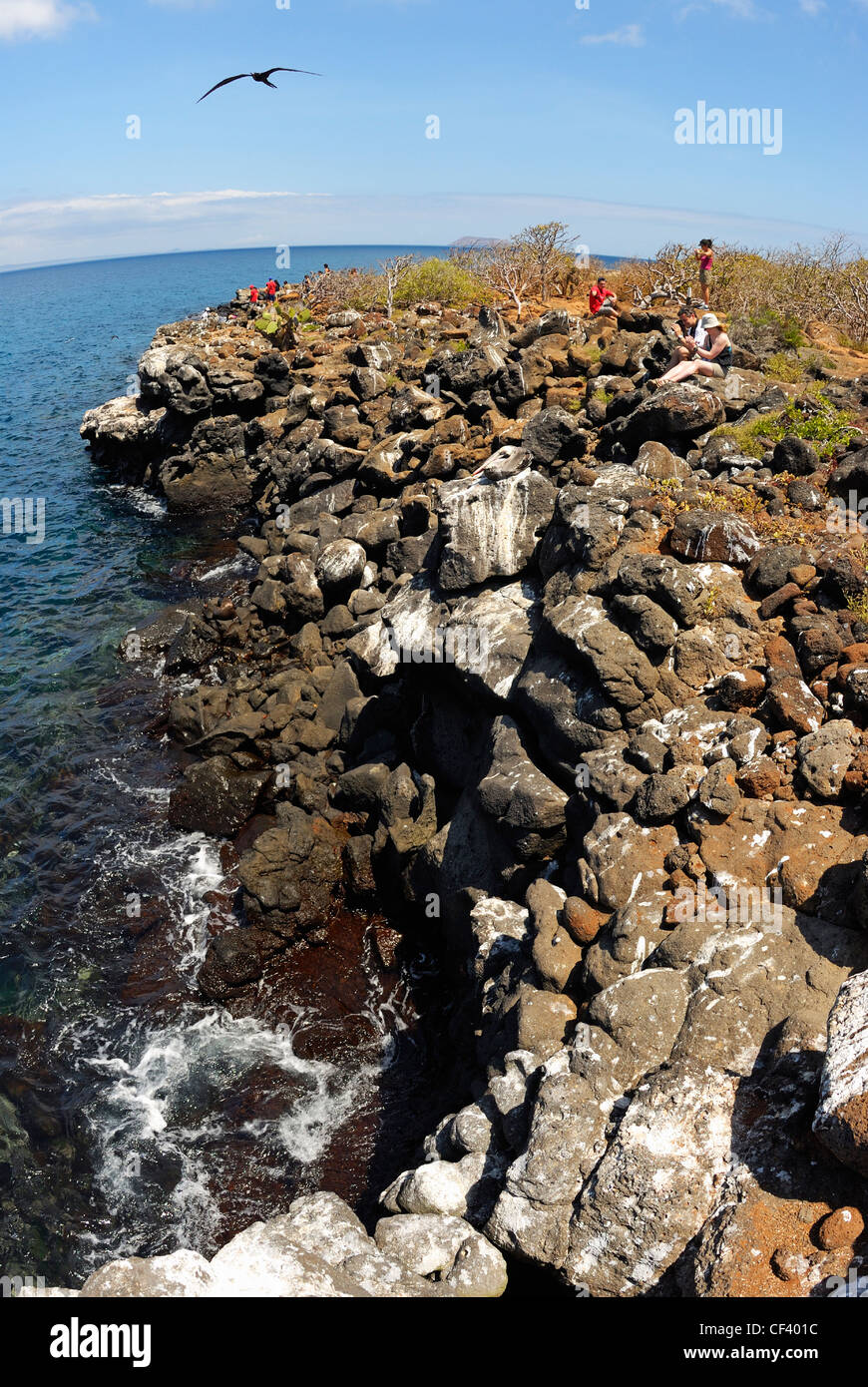 Touristen, die Vogelbeobachtung auf North Seymour Island, Galapagos-Inseln, Ecuador Stockfoto