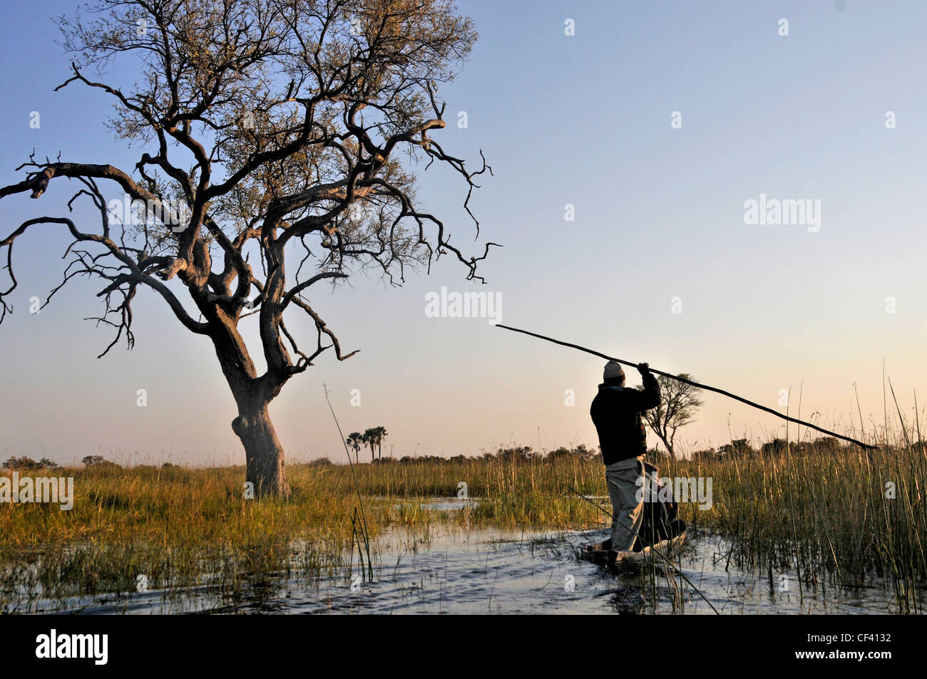 Poler Segeln Makoro am Okavango-Delta in Afrika. Stockfoto
