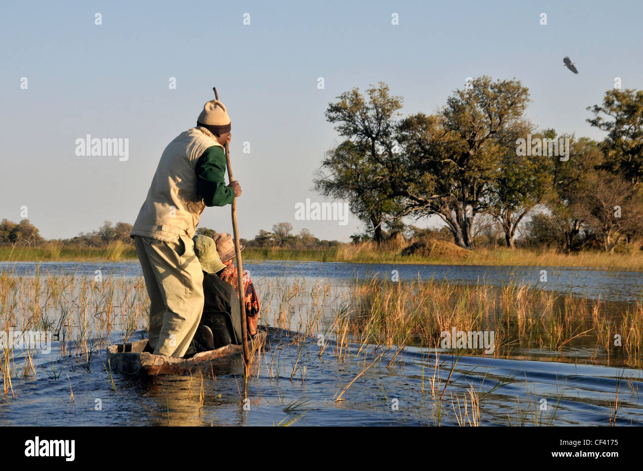 Makoro und Poler auf dem Okavango-Fluss Stockfoto