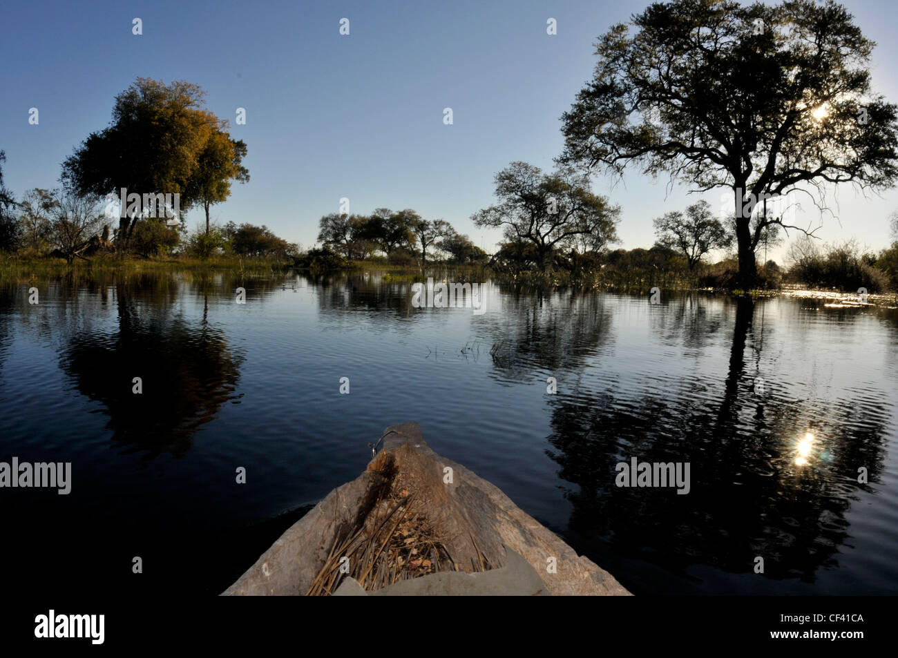 Blick vom Makoro Kanu auf einem afrikanischen Fluss. Stockfoto