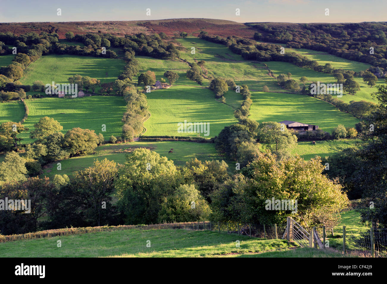 Am Abend Sonnenlicht fällt über Felder auf dem Hügel des Brecon Beacons. Stockfoto