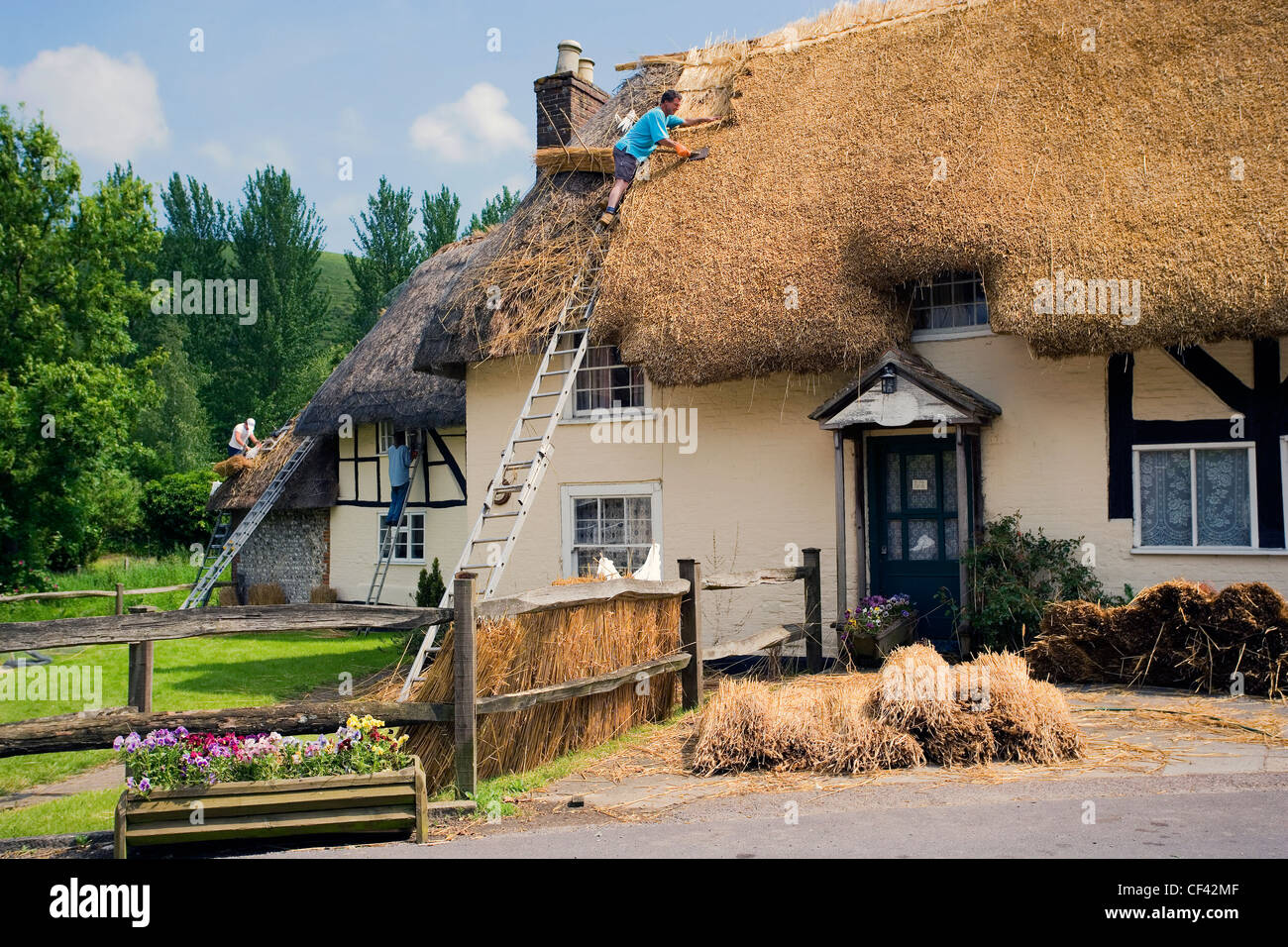 Arbeit, einem traditionellen Reetdach auf einer Hütte zu ersetzen. Stockfoto