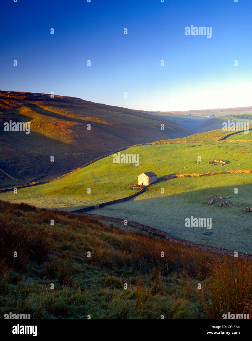 Eine steinerne Scheune und traditionellen Trockensteinmauern in Wharfedale in den Yorkshire Dales. Stockfoto